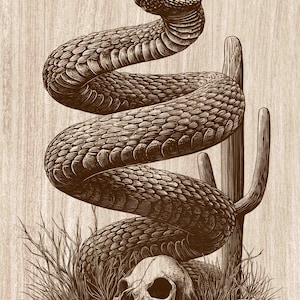 Op de afbeelding: Een illustratie in sepia-tinten op een achtergrond met houtnerf met een opgerolde ratelslang met gedetailleerde schubben, geplaatst achter een verweerde dierenschedel op de grond naast een lange, slanke woestijncactus en droog gras.