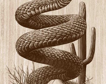 Rattlesnake Wood Engraving PNG, Desert Snake Wall Art, Western Cactus Skull Decor, Reptile Laser Engraving & CNC File (Digital Download)