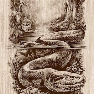 Anaconda, serpiente, grabado en madera PNG, arte de la vida salvaje de la selva, ilustración de pantano submarino, archivo de grabado láser de reptil vintage