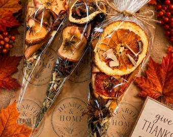 Fall Simmer Pot Kit, Thanksgiving Hostess Gift, Natural Stovetop Potpourri, Botanical Home Fragrance, cozy home gift, fall scents fragrance
