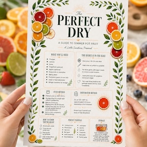 Simmer Pot Fruit Drying Guide | 4x6 Citrus Dehydrating Instructions | Vendor Insert Card | Digital Download, vendor insert, art deco style
