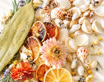 Simmer pot kit, Citrus fragrance, dried flower Bridal Shower Favors, Simmer Pot Gift | Wedding Favors | Beach lover gift | Natural Fragrance