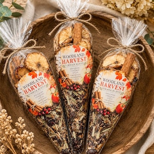 Woodland Harvest Simmer Pot Kit, Birch Bark, Apple, Cinnamon Blend, fall simmer pot, autumn stovetop potpourri