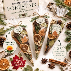 May include: Three cone-shaped clear plastic bags filled with botanical simmer pot ingredients including dried orange slices, cinnamon sticks, star anise, pine needles, and maple leaves. Each bag is tied with twine and features a Forest Air label.