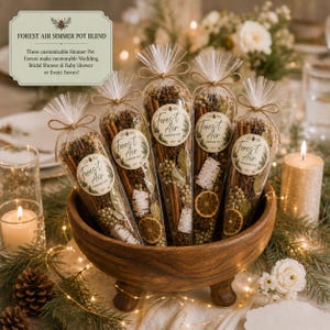 May include: Five clear cone-shaped plastic bags filled with Forest Air simmer pot ingredients, including cinnamon sticks, dried orange slices, and spices. Each bag is tied with twine and features a round label reading Forest Air Simmer Pot.