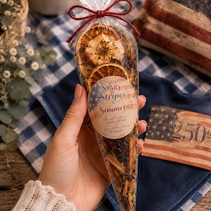 Patriotic Simmer Pot Kit,Stars Stripes & Simmers Stovetop Potpourri,4th of July Gift, America’s 250th Anniversary Favor,red white blue favor