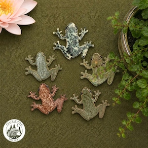 May include: Five ceramic frog figurines in various colors and speckled patterns, including white with black spots, light green, metallic bronze, reddish-brown, and sage green. A circular logo with a hedgehog and the text Prickly Pine Pottery.