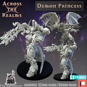 May include: Two white, detailed miniature figures of a Demon Princess, with wings and ornate armor, stand on black bases. The figures are part of the "Across the Realms" collection, with the text "Demon Princess" above them. The base is 60mm.