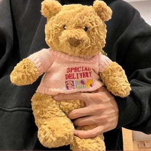 Peut inclure: Un ours en peluche brun clair est présenté sur un fond sombre. L'ours porte un pull rose avec l'inscription "SPECIAL DELIVERY" en rouge et un motif coloré. La fourrure de l'ours est douce et texturée.