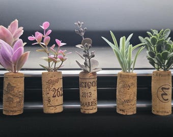 Plant Car Vent Clips - Air Freshener - Essential Oils - Plant - Succulent - Gift - Car Decor - Gift Idea