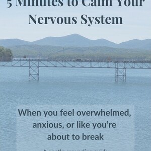 May include: Image with text: "5 Minutes to Calm Your Nervous System." The image shows a bridge over water with mountains in the background. Text at the bottom reads: "When you feel overwhelmed, anxious, or like you're about to break. A gentle grounding guide."