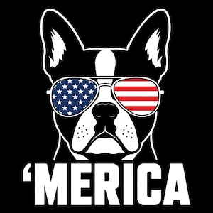 Peut inclure: Graphique d'un bouledogue français noir et blanc portant des lunettes de soleil aux couleurs du drapeau américain. Le mot "'MERICA" est écrit en blanc en dessous. Fond noir.
