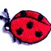 lady bug iron on patch