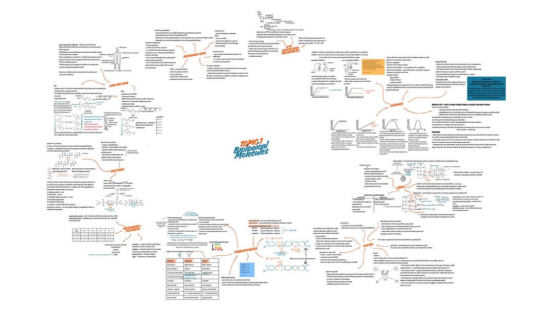Biological Molecules AQA A-level Biology Topic 1 Mind Map - Etsy