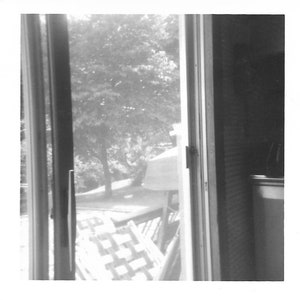 May include: A black and white photo of a wooden door with a screen door. The screen door is open and shows a view of a tree and a yard.