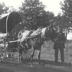 Snake Oil Salesman Tinker Tinsmith Antique Photograph Man With Mule & Buggy Rural America