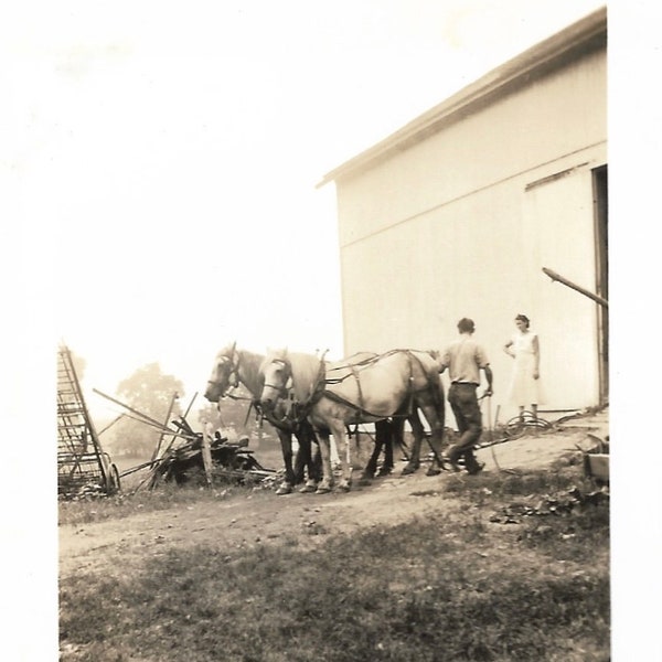 Vintage Americana Photo: Farming Husband & Wife, Plow Horses