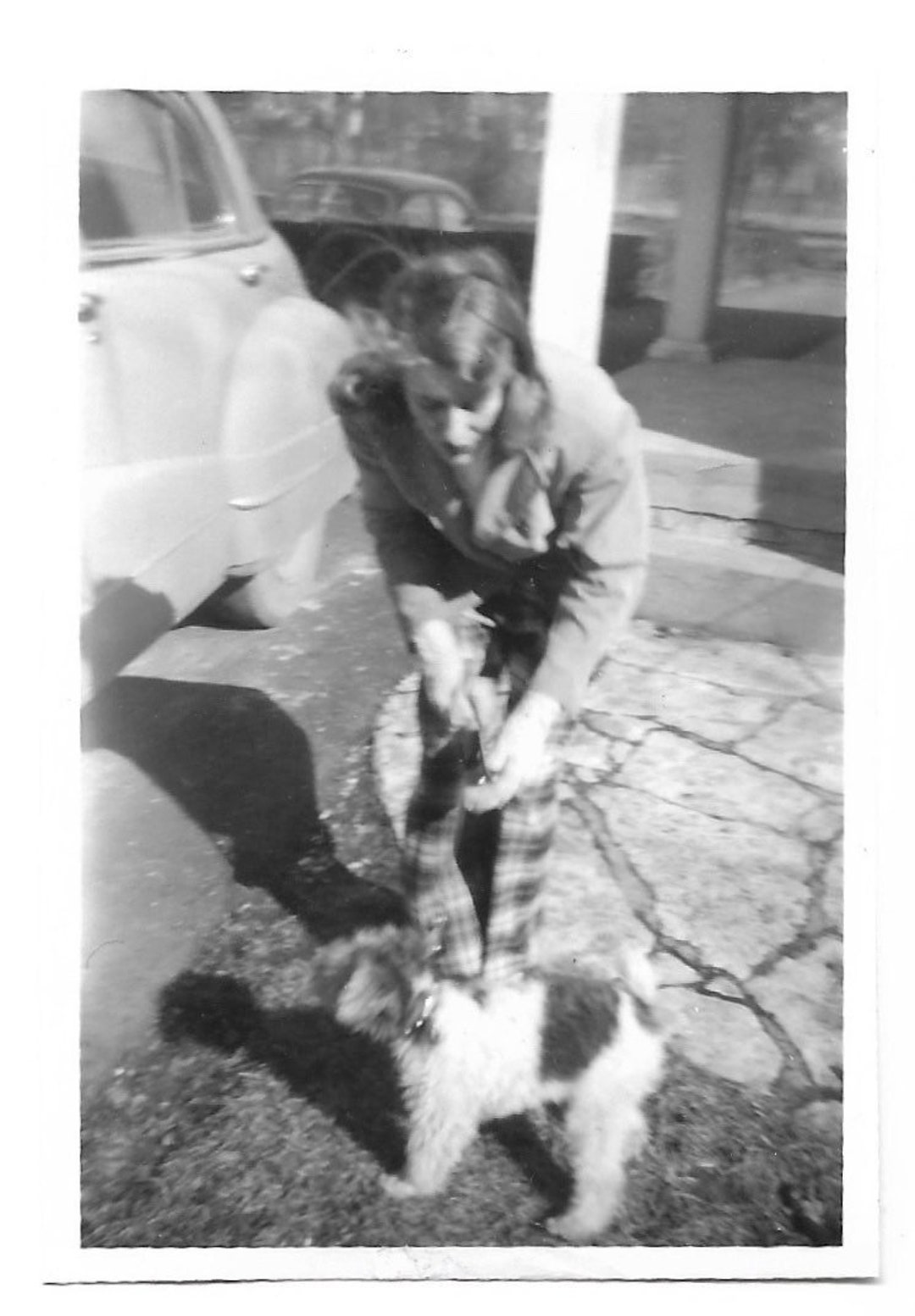 Shaggy Dog Story Vintage Photo Terrier Puppy & Pretty Girl 1950s Pet