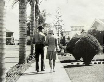 Vintage Photo Young Couple Walking Back To Camera Palm Trees City Street