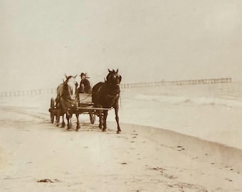 Horses On The Beach Vintage Photo Horse-Drawn Carriage