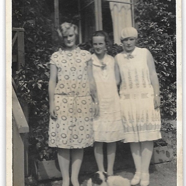 Three Sisters & Their Dog Vintage Photo Wire Fox Terrier Puppy Dog Flapper Dress Beret Hat Lovely Young Women Portrait Photography