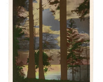 Vancouver Sunset Vintage Hand Colored Photograph Landscape British Columbia Trees Sky J. Fred Spaulding Camera Products