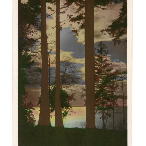 Vancouver Sunset Vintage Hand Colored Photograph Landscape British Columbia Trees Sky J. Fred Spaulding Camera Products