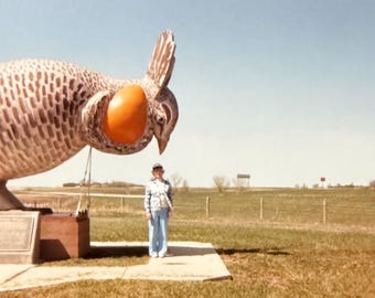 Prairie Chicken Vintage Color Photo Minnesota Roadside Attraction Souvenir Photo