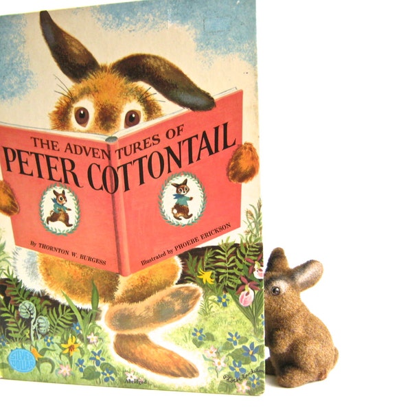 Vintage Peter Rabbit - Illustrated - Vintage Children's Book - Gardens - Bunny Rabbits - Large Book - Book Pages - Classic Story