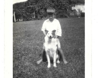 Happy Smiling Dog Vintage Photo Little Boy Loves His Dog Cute Puppy Prick Ears Mixed Breed Rescue Dog