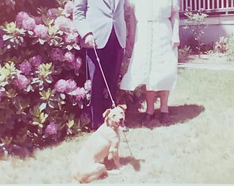 Vintage Color Photo: Eddie, Lydia & Honey Puppy Dog Snapshot