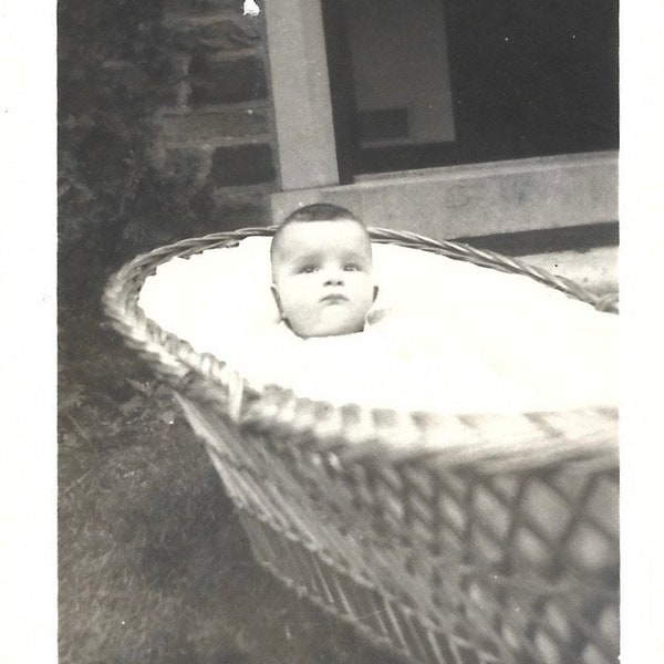 Baby In A Basket Antique Photo Baby All Wrapped To His Ears In A Wicker Basket Original Baby Picture