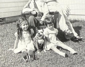 Vintage Boston Terrier Photo Happy Dog Family Pet