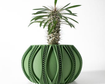 May include: A green, patterned planter with a spiky succulent plant. The planter has an oval shape with vertical, decorative cutouts. The plant has green leaves and a thorny stem. The background is white.