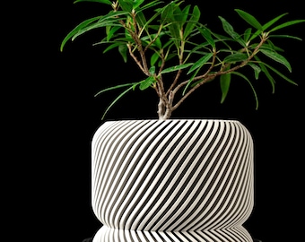 May include: A modern, white and black striped planter pot with a small green plant. The pot has a unique, curved design and sits on a reflective surface against a black background. The plant has vibrant green leaves.