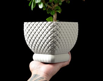 May include: A textured, light gray planter with a small bonsai tree. The planter has a rounded shape with a pattern of small, evenly spaced holes. It sits on a matching rectangular base, held by a hand against a black background.