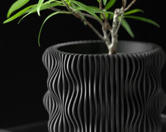 May include: A small, green-leafed plant in a black, wavy-patterned planter. The planter is cylindrical with vertical, curved lines. The plant and planter sit on a clear, glass-like surface against a black background. The plant's leaves are bright green.