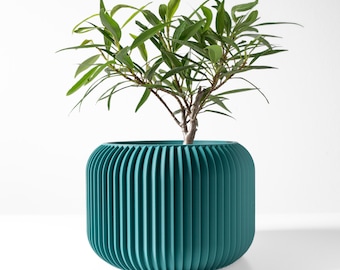 May include: A teal-colored, ribbed planter pot with a small green plant. The pot has a rounded shape and vertical grooves. The plant has long, thin green leaves and a brown stem. The background is white.
