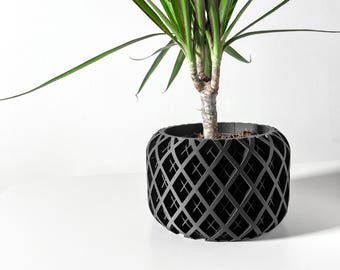 May include: A potted plant with long, green leaves and a dark gray, diamond-patterned planter. The plant sits on a white surface against a white background. The planter has a unique, open design.