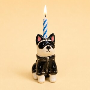 Könnte beinhalten: Ein Kerzenhalter in Form einer Hundefigur aus Keramik, der einen schwarz-weißen Hund mit schwarzer Jacke und schwarzer Augenmaske darstellt. Eine brennende Geburtstagskerze mit blau-weißen Diagonalstreifen steckt auf dem Kopf des Hundes.