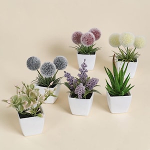 May include: A collection of six small artificial plants in white square pots. The set includes three round pom-pom style flowers in shades of burgundy, cream, and grey, a purple lavender sprig, a green succulent, and a small leafy green plant.