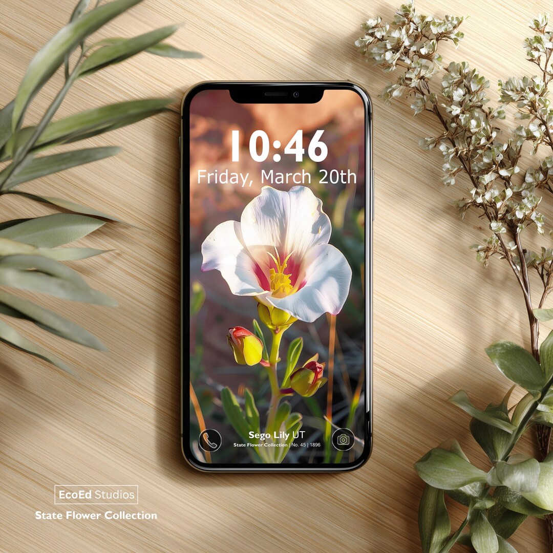 Sego Lily iPhone Wallpaper | Floral Phone Background | Botanical Lock ...