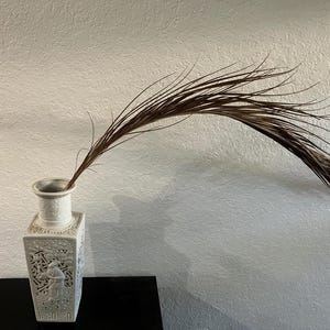 DRIED PALM LEAVES (Set of 6)  Wispy Natural Date Palm Dried Palm Fronds Palm Branches Dried Floral/Boho Home Decor/Wall Decor/Palm