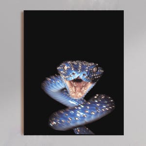 Ice Out Blå Orm Poster, Y2k Väggkonst, Iced Out Djurtryck, Orm Poster, Exotisk Reptildekor, Alternativ Väggkonst