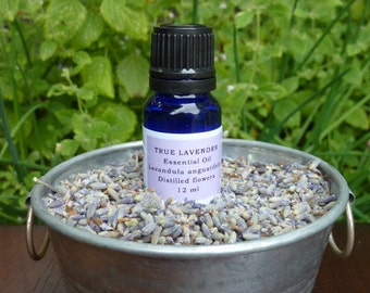 True Lavender Essential Oil