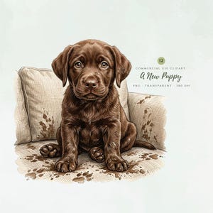 Op de afbeelding: Een bruine Labrador-puppy zittend op een beige gestoffeerde stoel bedekt met modderige pootafdrukken. De afbeelding bevat de tekst 12 COMMERCIAL USE CLIPART A New Puppy PNG TRANSPARENT 300 DPI, met een gedetailleerde illustratie van een hond.