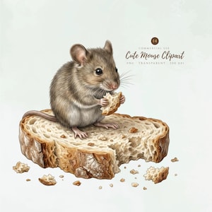 Op de afbeelding: Een bruine muis met grote oren en snorharen zit op een dikke snee korstig brood en houdt een klein stukje brood vast in de voorpootjes. De afbeelding bevat de tekst 14 COMMERCIAL USE Cute Mouse Clipart PNG TRANSPARENT 300 DPI.