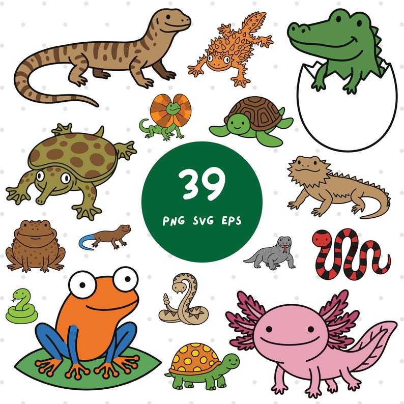 Reptile and Amphibian Clipart Bundle – Kawaii Illustrations, PNG SVG ...