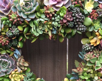Heart Shaped Succulent Wreath, Valentine's Gift, Front Door Decor