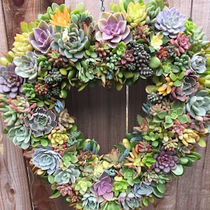 Spring Succulent Wreath Easter Wreath Housewarming Gift Mothers Day Gift Birthday